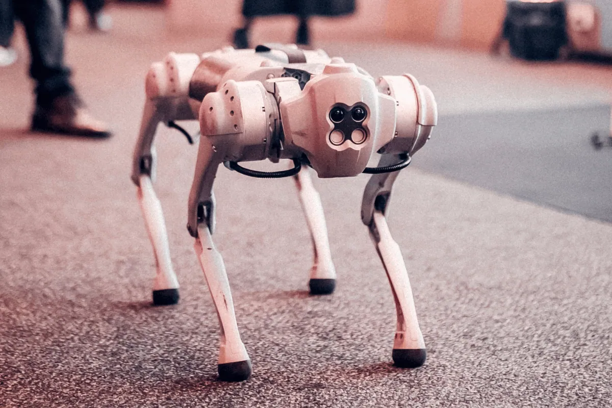 Humanoid robot