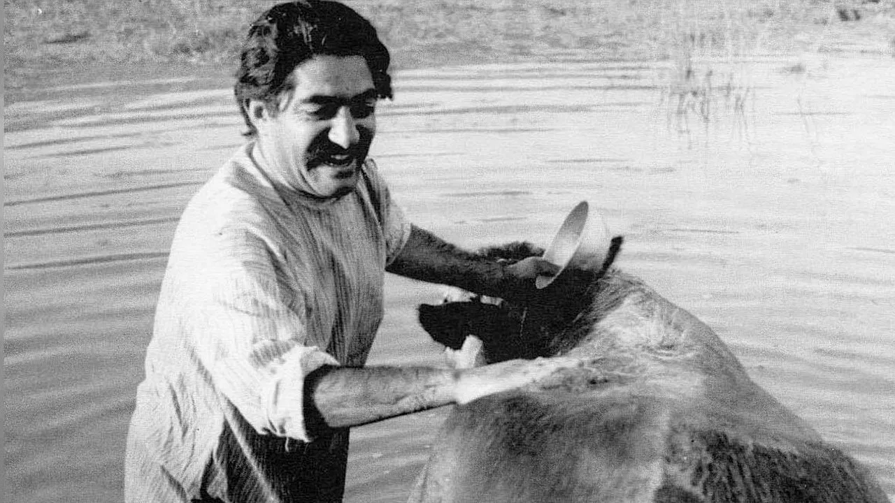 The Cow (1969)
