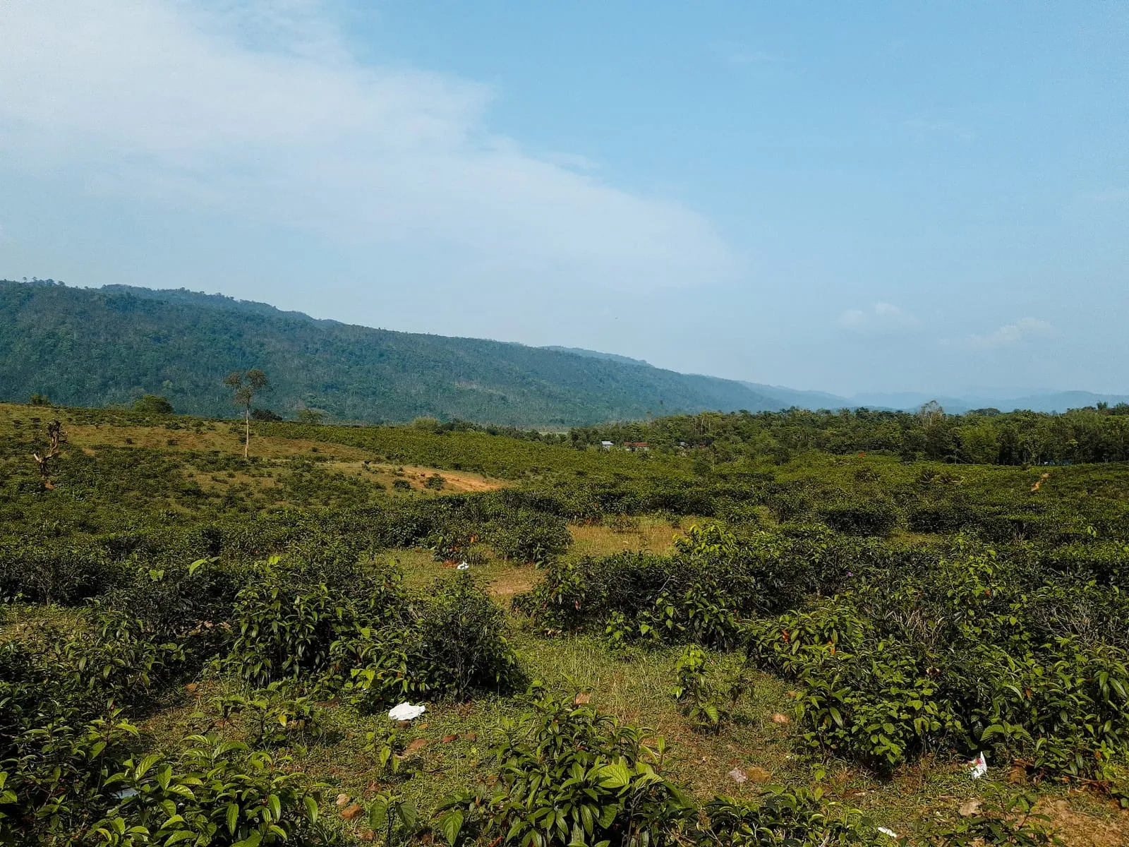 Sylhet