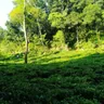 Hero image for blog post "Exploring Sylhet: A Memorable Journey"